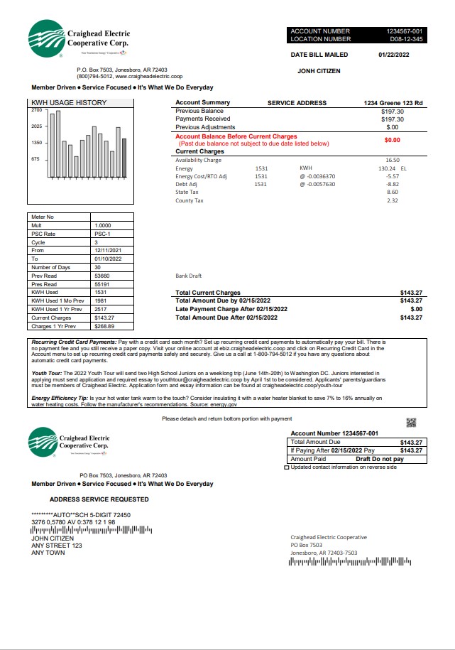 USA Craighead Electric utility bill template in Word and PDF format